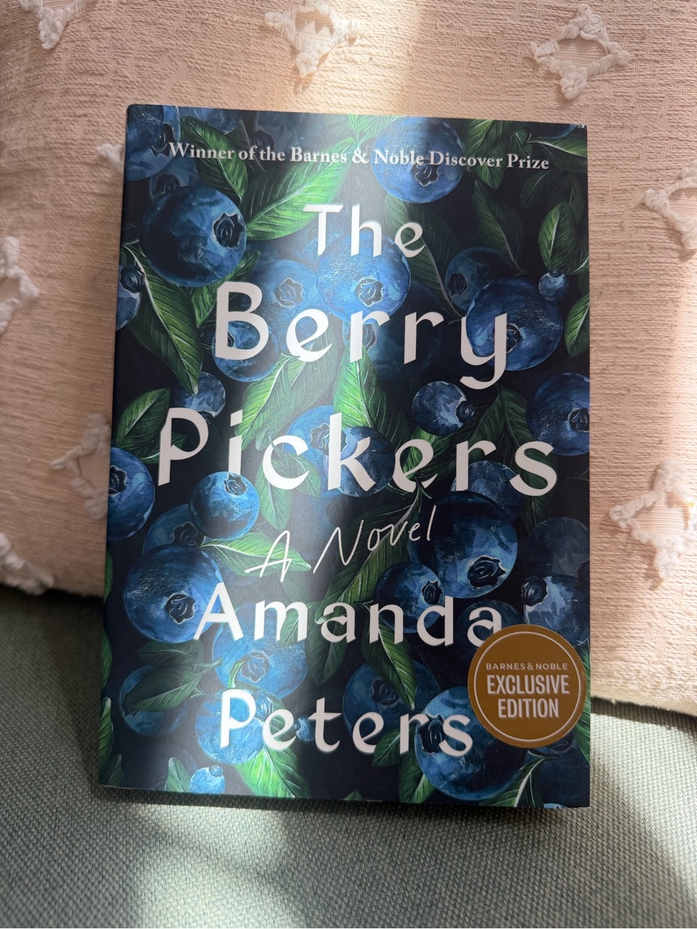 The Berry Pickers a novel by Amanda Peters